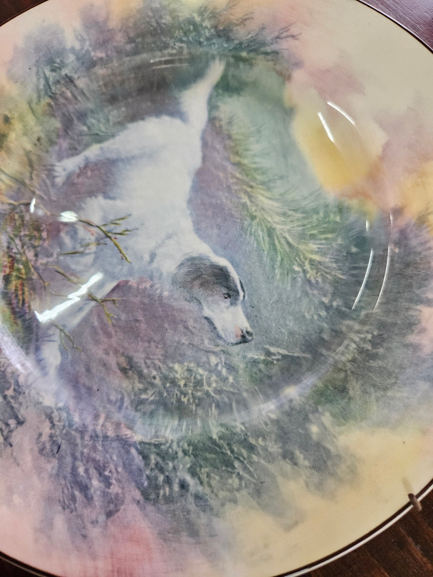 Royal Doulton plate with English Setter