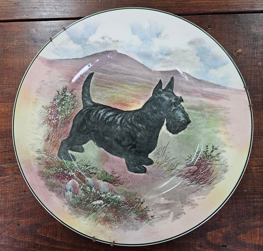 Royal Doulton plate with Scottish Terrier