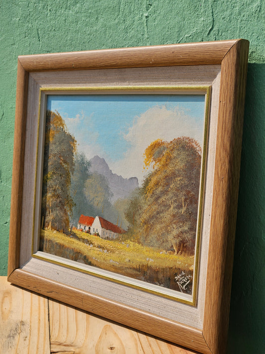 Red roofed farmhouse by Danie Van Niekerk