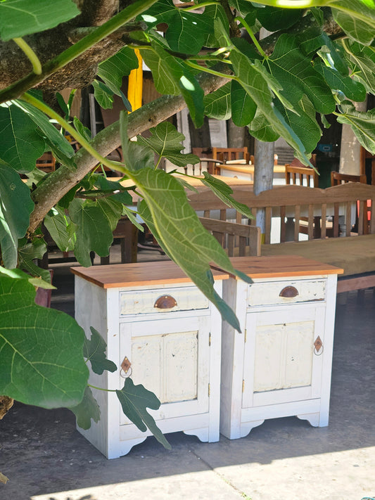 Pair of rustic pedestals