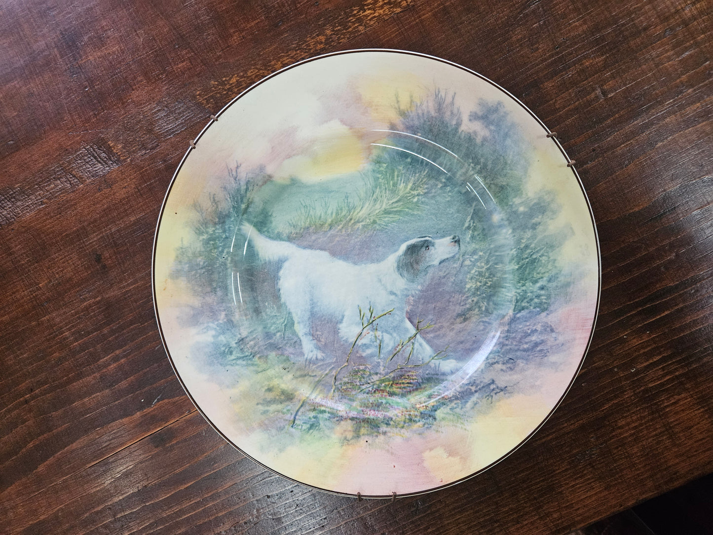Royal Doulton plate with English Setter