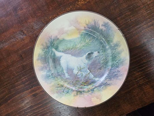 Royal Doulton plate with English Setter