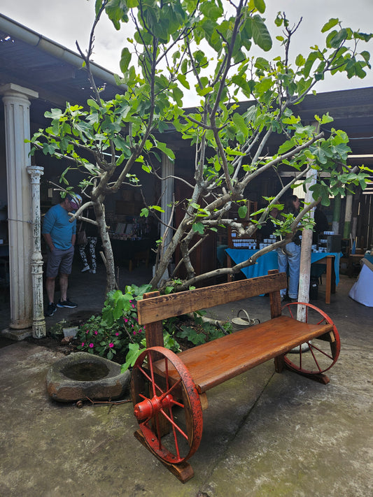 Garden Bench
