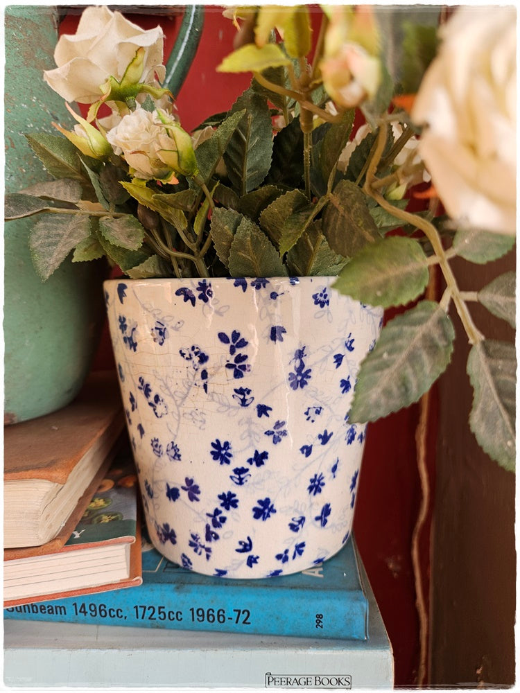Plant pot