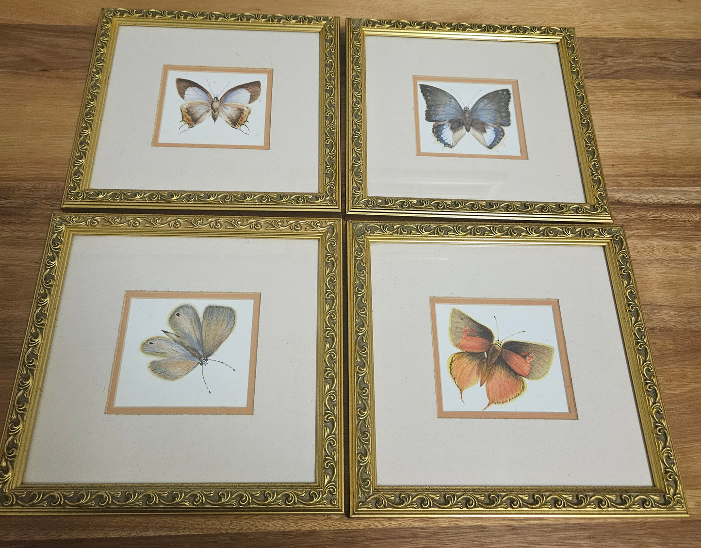 Butterfly pictures set of 4
