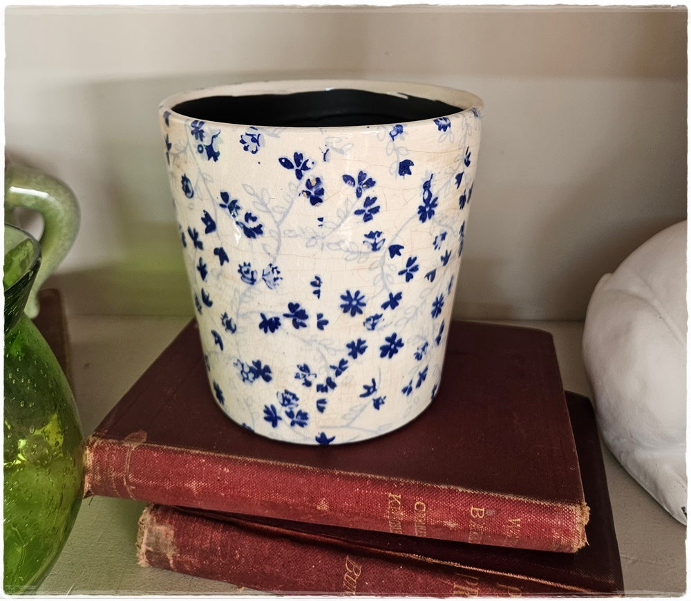 Plant pot