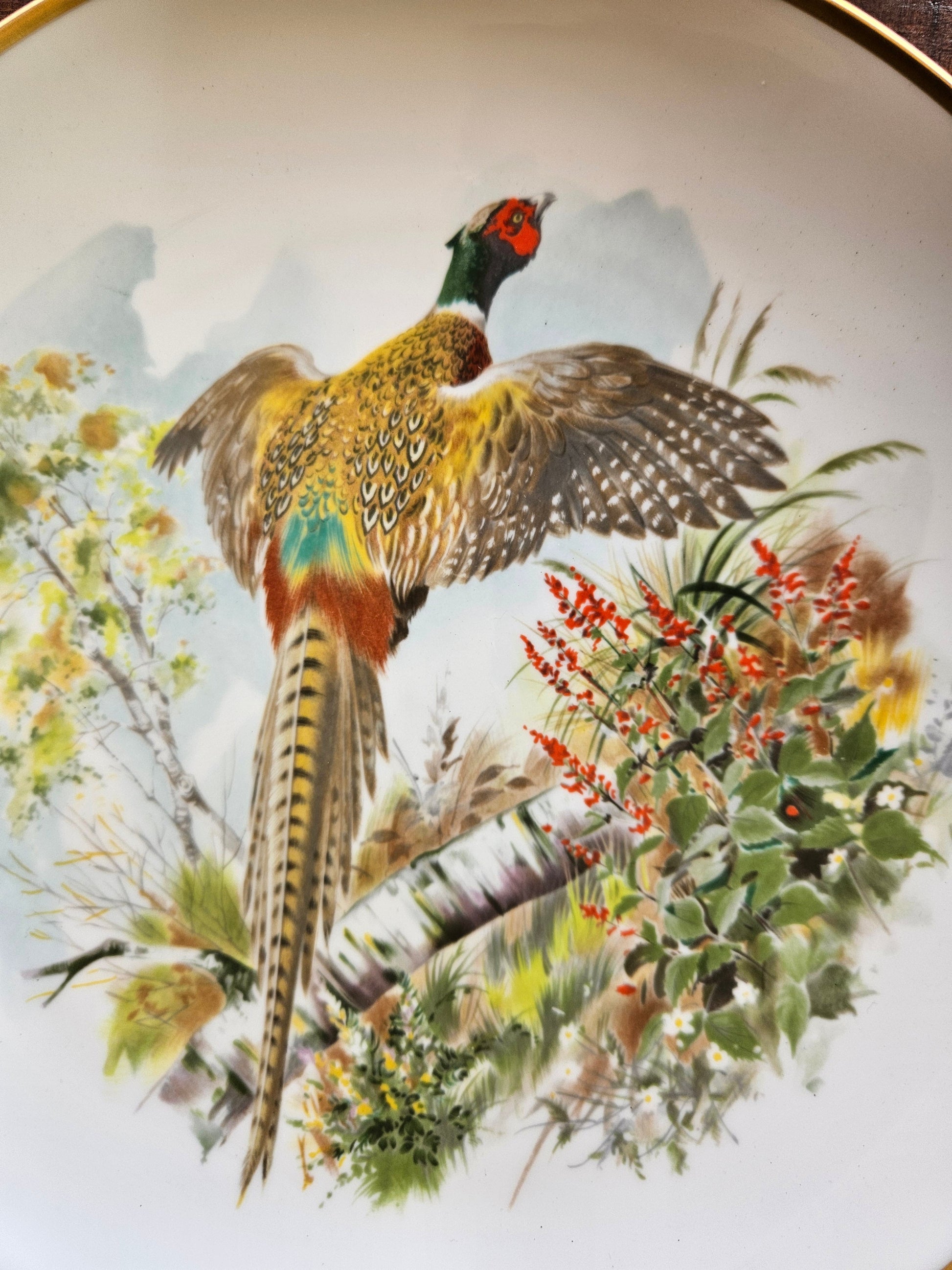 Decorative plate with a pheasant and nature scene