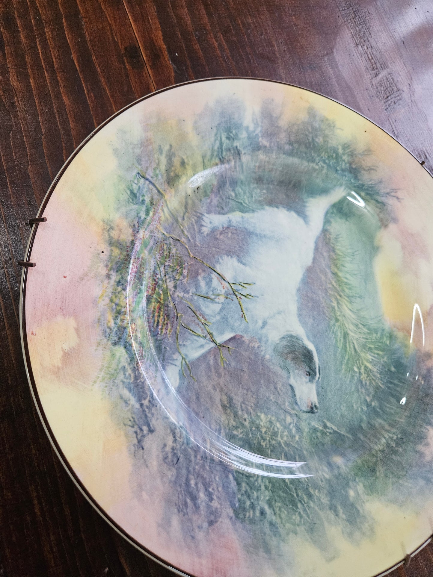 Royal Doulton plate with English Setter