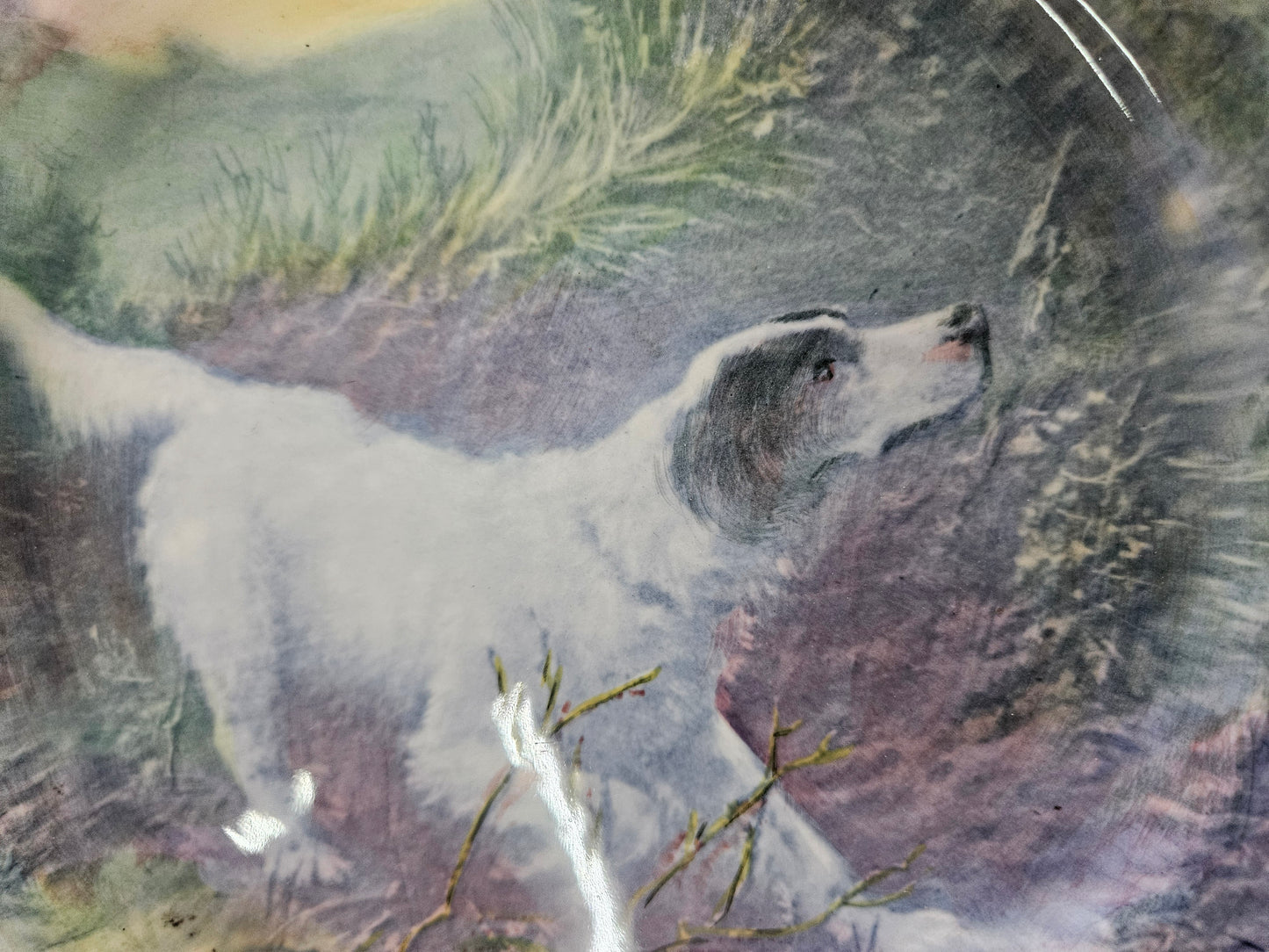 Royal Doulton plate with English Setter