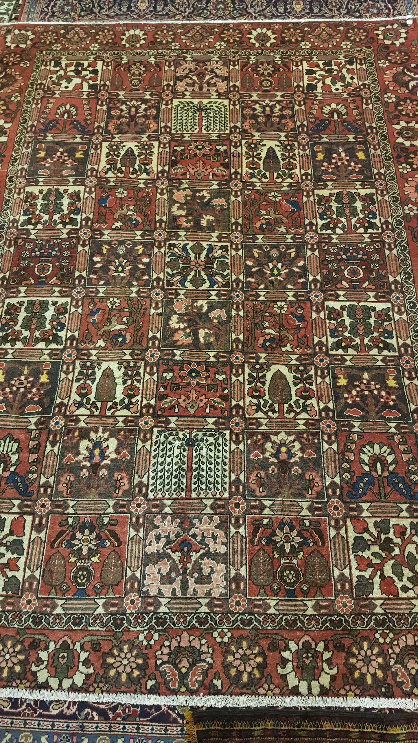 Persian Carpet (285cm x 202cm)